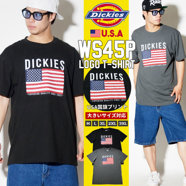 DICKIES ディッキーズ Tシャツ メンズ 半袖 大きいサイズ 国旗柄 星条旗 WS45P DKTT003