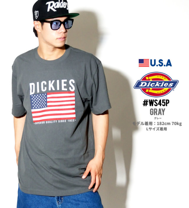 DICKIES ディッキーズ Tシャツ メンズ 半袖 大きいサイズ 国旗柄 星条旗 WS45P DKTT003