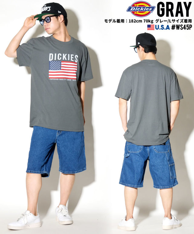 DICKIES ディッキーズ Tシャツ メンズ 半袖 大きいサイズ 国旗柄 星条旗 WS45P DKTT003