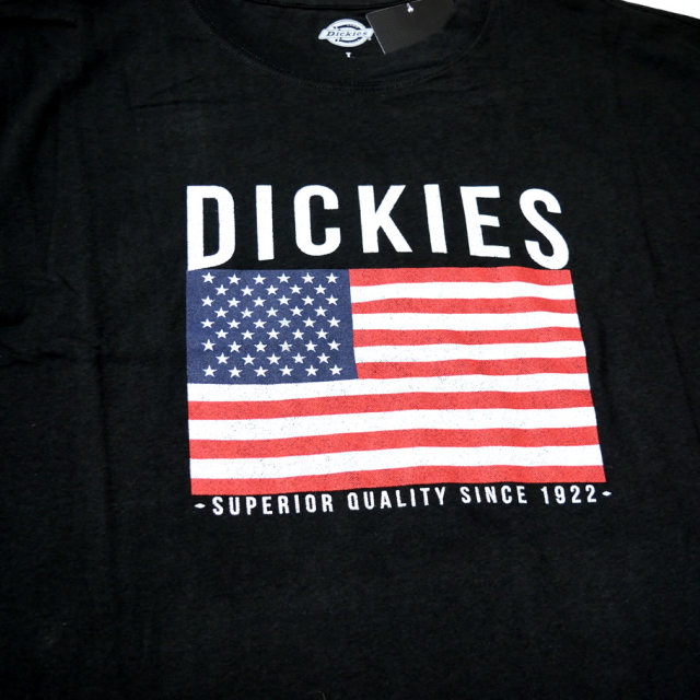DICKIES ディッキーズ Tシャツ メンズ 半袖 大きいサイズ 国旗柄 星条旗 WS45P DKTT003