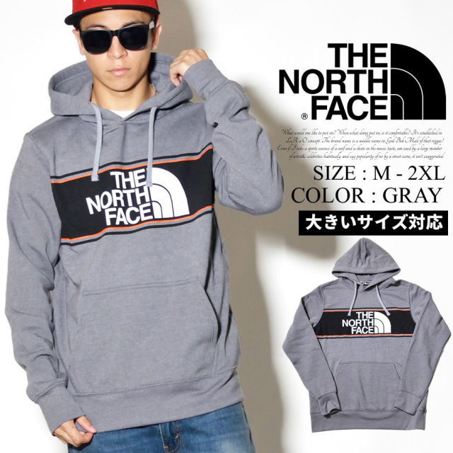 THE NORTH FACE ザノースフェイス プルオーバーパーカー メンズ ロゴ NF0A352F NFPT002