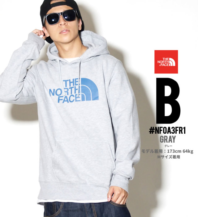 THE NORTH FACE ザノースフェイス プルオーバーパーカー メンズ ロゴ NF0A3FR1 NFPT004