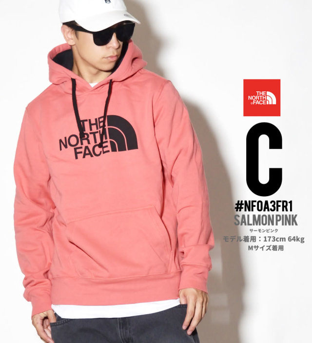THE NORTH FACE ザノースフェイス プルオーバーパーカー メンズ ロゴ NF0A3FR1 NFPT004