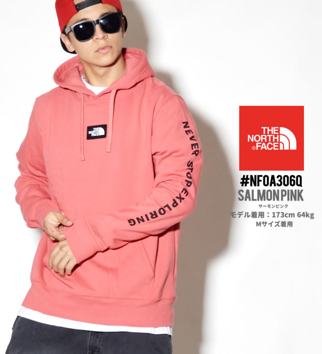 THE NORTH FACE ザノースフェイス プルオーバーパーカー メンズ ロゴ 袖に文字 NF0A3O6Q NFPT005