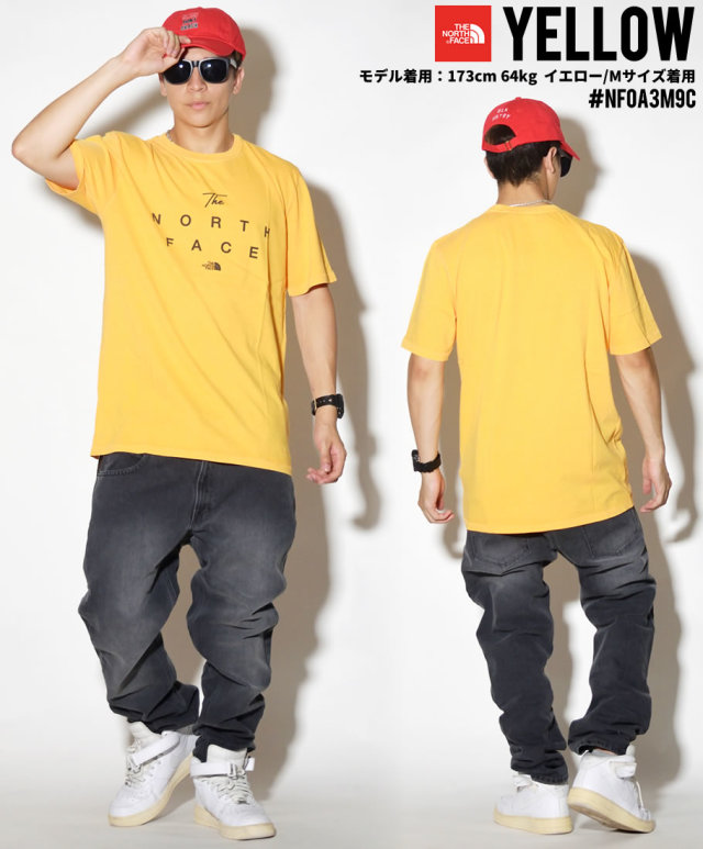 THE NORTH FACE ザノースフェイス 半袖 Tシャツ メンズ NF0A3M9C NFTT004