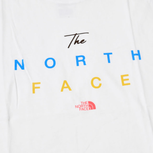 THE NORTH FACE ザノースフェイス 半袖 Tシャツ メンズ NF0A3M9C NFTT004