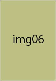 ����̾06����̾06