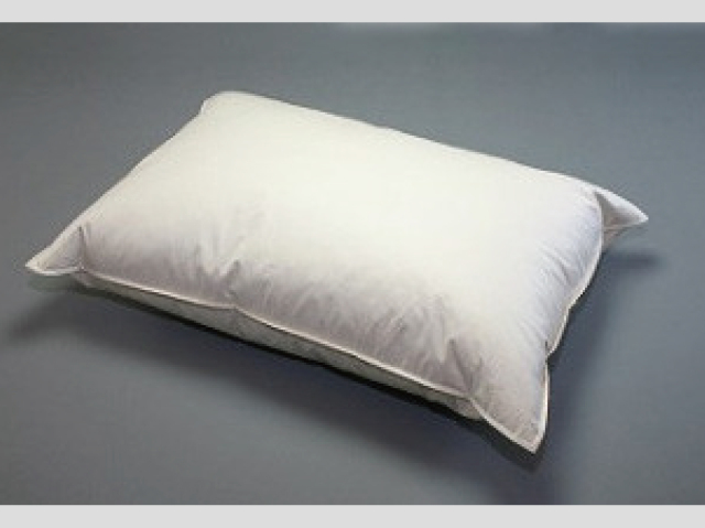 【羽根枕】フェザーピロー