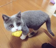 Ｅストアーから商品登録N06