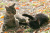 猫2