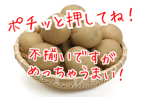 ���䤬