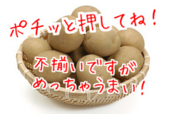 ���䤬