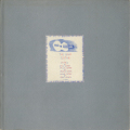 the blue guitar