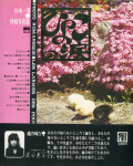 �Ҥ褳����