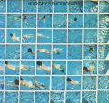 David Hockney: �ۥå��ˡ��Υ������