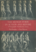 The Human Form in Action and Repose