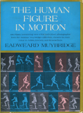 the human figure in motion2