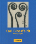 Karl Blossfeldt: Photgrapfs
