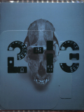 mocafico galerie