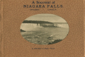 niagara falls