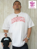 ���礭���������ˣͣɣӣȣˣ��ʥߥ����ˡ֣ã٣ңɣ̣̣ɣ� �֣��ңӣɣԣ١ףԣţ�