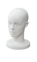 �ޥͥ���إå� �� HD-01