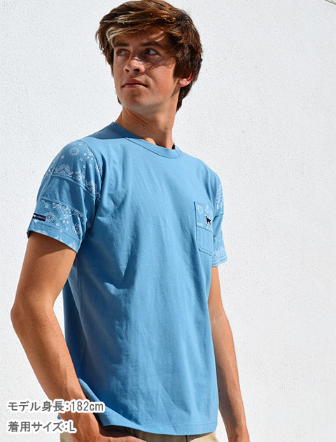 ペイズリーTシャツ