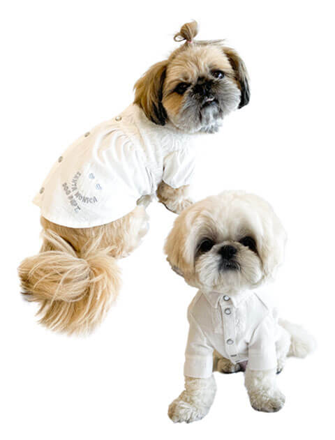 新品 DOG DEPT Gold Label アランニット カーディガン XL 楽天市場】カーディガン アランニット リブ ニット トップス