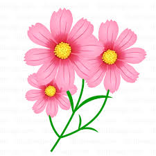 test_5_10