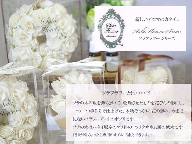 Everlasting Flowers 輝き続ける花—ソラフラワー&amp;プリザーブドフラワー Everlasting Flowers: 輝き続ける花~ソラフラワー&プリザーブド