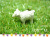 �����ǥ˥󥰥��˥ޥ�\130503���ҥĥ�