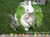 �����ǥ˥󥰥��˥ޥ�\130506��������