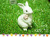 �����ǥ˥󥰥��˥ޥ�\130506��������