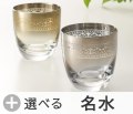 �������� �ӥ����饹�����٤������Υӡ���(10-05-012)
