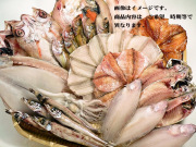 ��ʪ�郎�ޤޥ��åȣ�������
