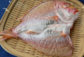 �䣱