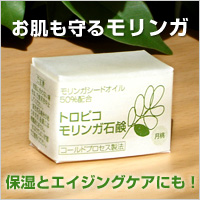 ���󥬤Ρ֥ȥ��ԥ������и��ʷ���/���äȤ��ˤ��25g[�����ֹ桧bi2460]