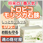 �g���s�R�������K�Ό�