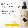 ���󥬥���������˧���α��/����ƥ����ĥ꡼��[�����ֹ桧bi2491]