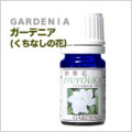 ka1060_�����ǥ˥��ʤ����ʤ��β֡�