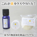 ��߷���β����饹���ꤪ�3�����åȡ�����ѡ�[�����ֹ桧bi2499]