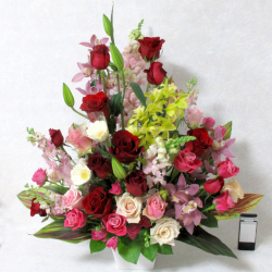 ���֥���󥸥��� �ڥ��������ȡ�����ǥ�����