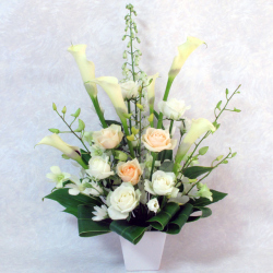 �ڥǥ����ʡ������쥯������ �ܤ����֥���󥸡ڥ��顼�Υ���󥸥��ȡ�