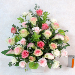 �Х�Υ���󥸥��ȡڥ��󥷥󥰡����������