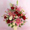 �ڥǥ����ʡ������쥯������ ���֥���󥸡ڥ���󥼥ꥼ��