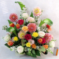 ���֥���󥸥��� �ڲ�������󥸷ϡ�