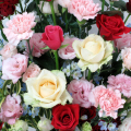 \1,000ʬ�Υܥ�塼�ॢ�åס��ڲ�«���Х�β�«�����֥�������ѡ�