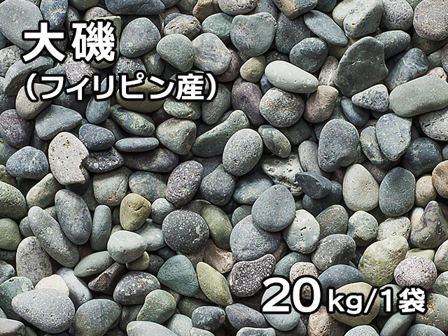 大磯(フィリピン産) 20kg