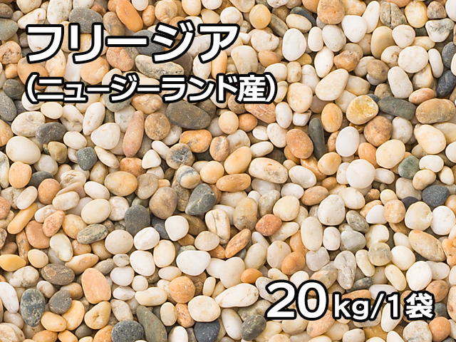 フリージア(ニュージーランド産) 20kg