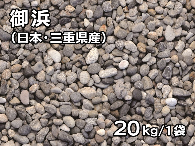 御浜(日本・三重県産) 20kg